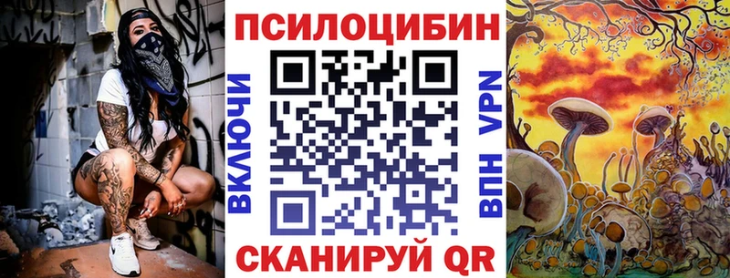 Псилоцибиновые грибы Psilocybine cubensis  купить наркоту  Зеленокумск 