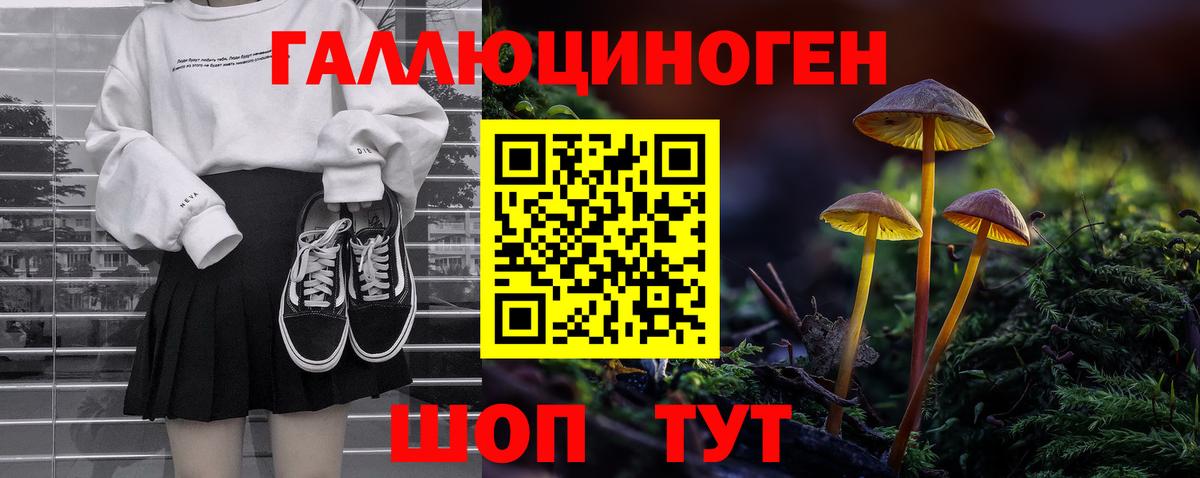 Галлюциногенные грибы Cubensis  Галлюциногенные грибы мицелий  Вход с VPN  Зеленокумск 